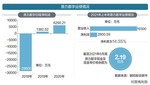 靠3D數字人業務能否翻身？原力數字沖刺創業板的機遇與挑戰